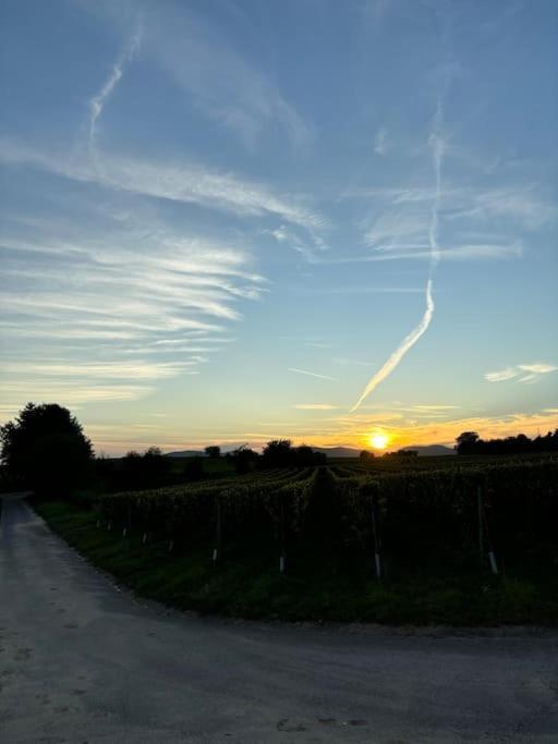 Ferienwohnung In Der Suedpfalz Zeiskam エクステリア 写真