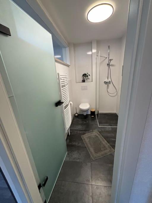 Ferienwohnung In Der Suedpfalz Zeiskam エクステリア 写真