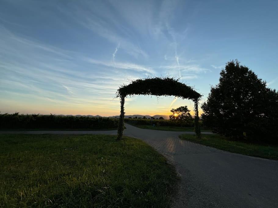 Ferienwohnung In Der Suedpfalz Zeiskam エクステリア 写真